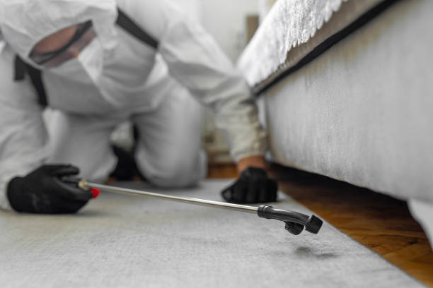 Professional Bed Bug Control technician working in Oxford, GA