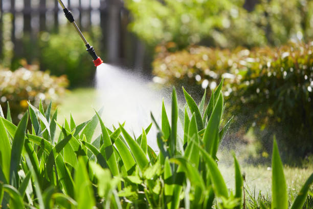 24/7 Emergency Bed Bug Control experts in Oxford, GA