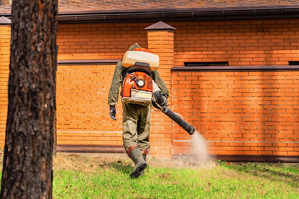 Trusted Mosquito Control service in Oxford, GA - Nex Pest Control